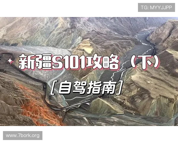 AG官网全面指南：访问步骤、功能与最新动态